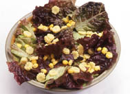 DİYET SALATA